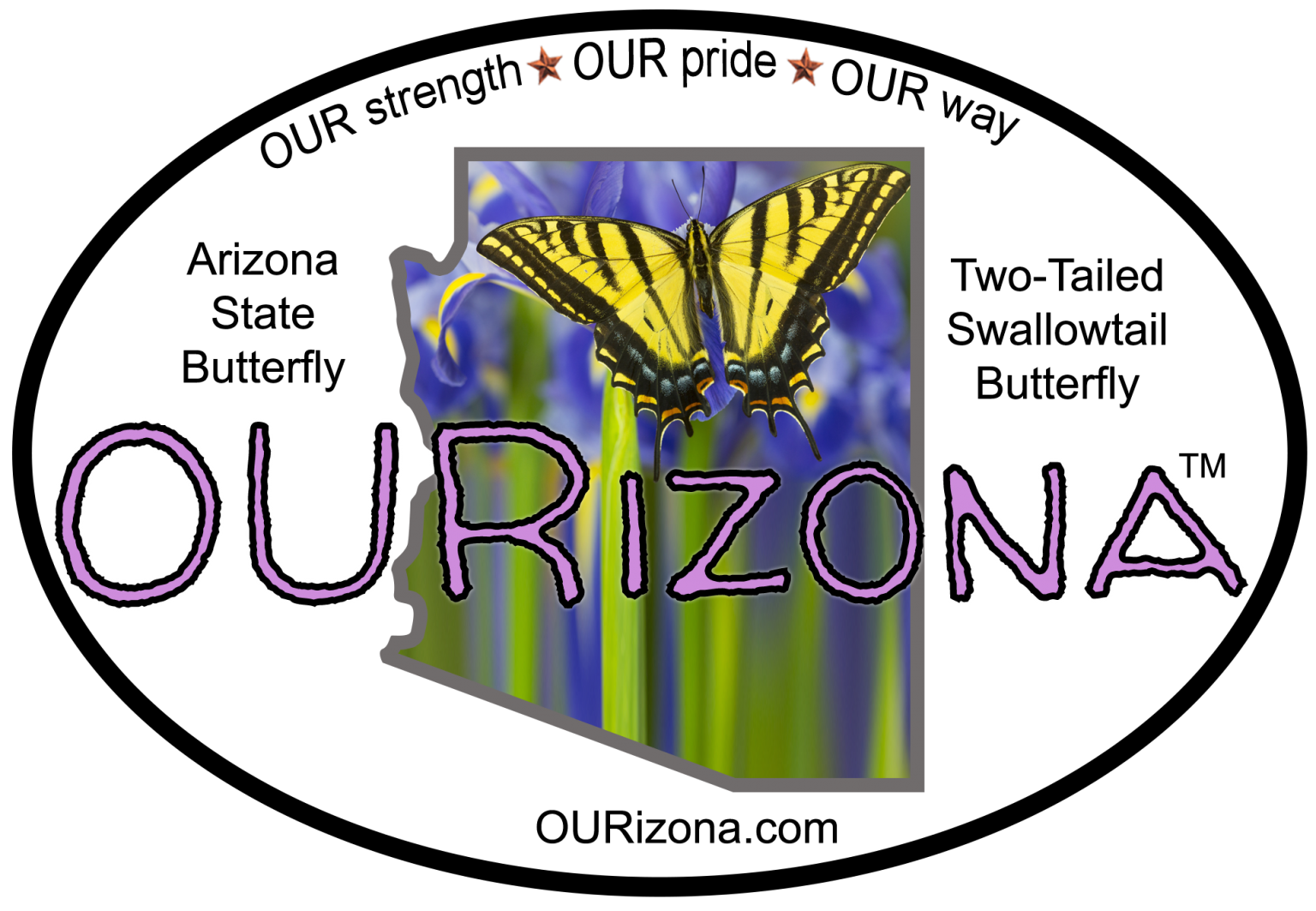 Two-Tailed Swallowtail Butterfly Decal – OURizona